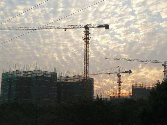 Bon prix Capacité de levage 4 tonnes 51m Grue sans haut pour la construction de bâtiments de grande hauteur en ligne