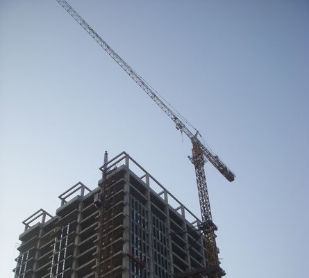 Bon prix Crane électrique à tour auto-escalade 50 Hz avec capacité de levage de 12 tonnes Type de panneau en ligne